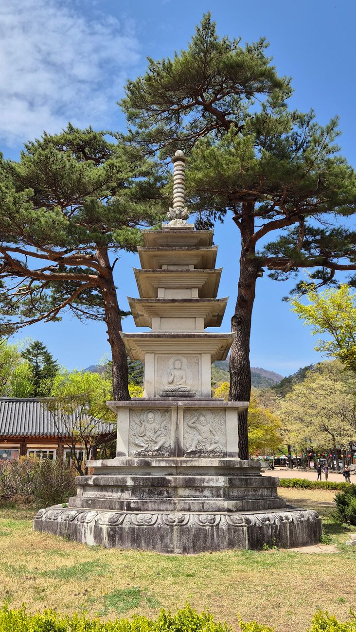 소나무와 함께 선 석탑